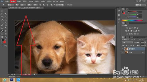 Adobe Photoshop CS6 怎么样撤销错误步骤！(PS)课程